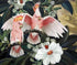 Cockatiel Parrots & Flowers